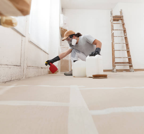 Professional Mold Removal in Ho Ho Kus, NJ